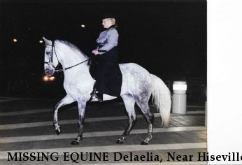 MISSING EQUINE Delaelia, Near Hiseville, , KY, 42141